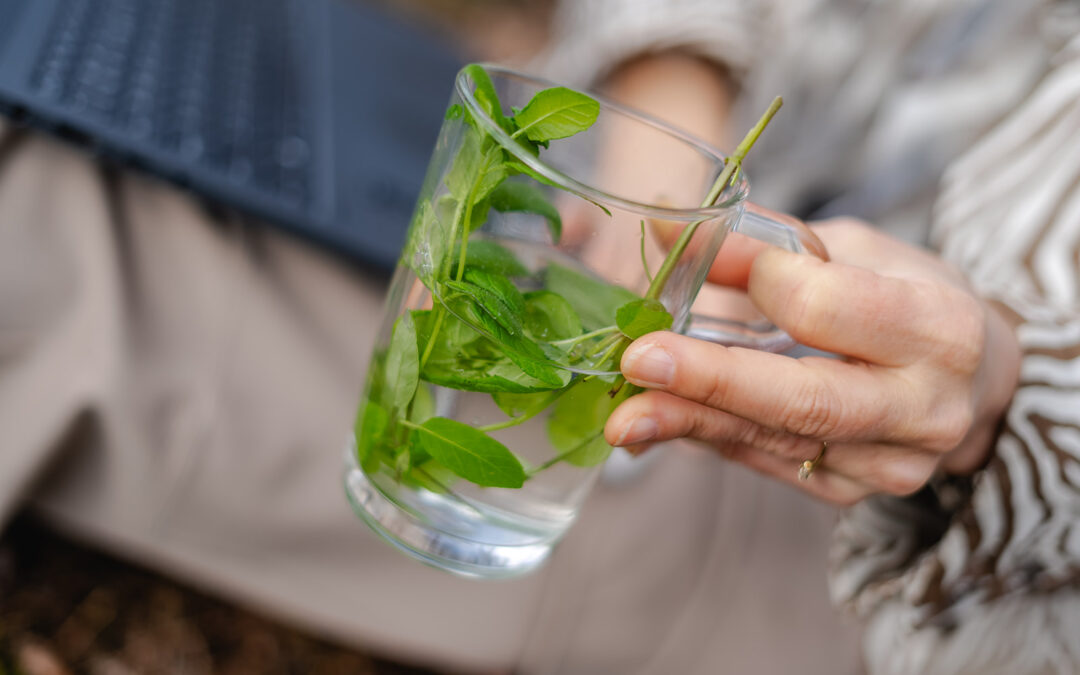 Verantwoord vasten: rust voor je lijf, energie voor je leven